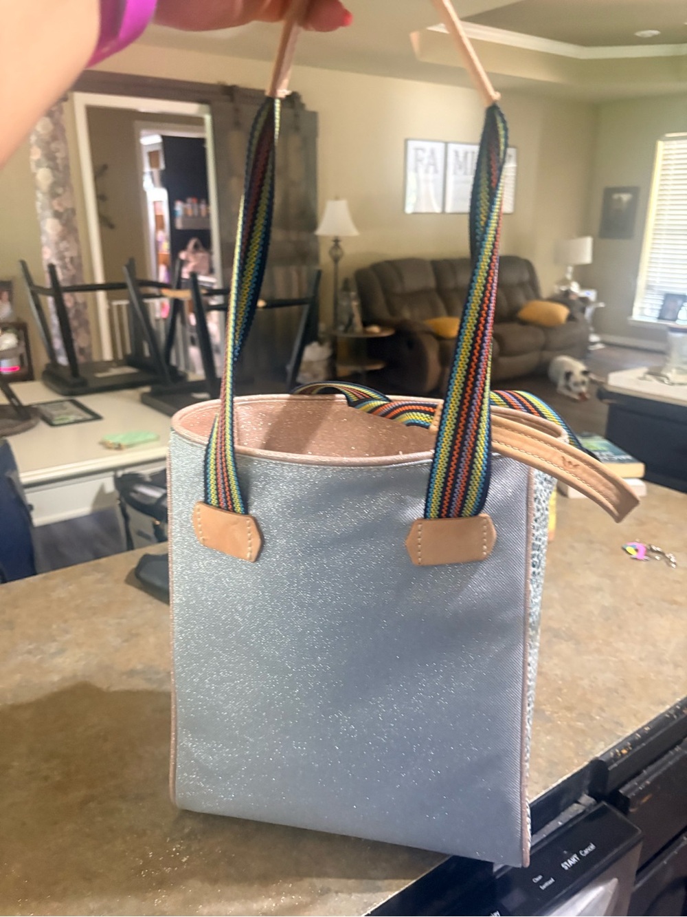 Consuela Gray Canvas Tote with Colorful Floral Embroidery and Rainbow Straps - Picture 3 of 7